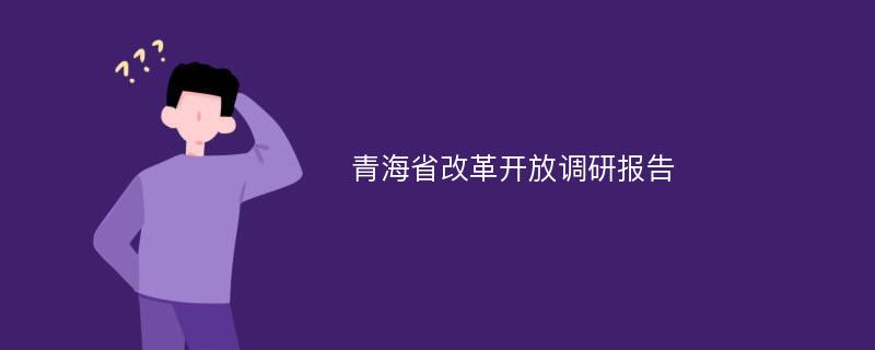 青海省改革开放调研报告
