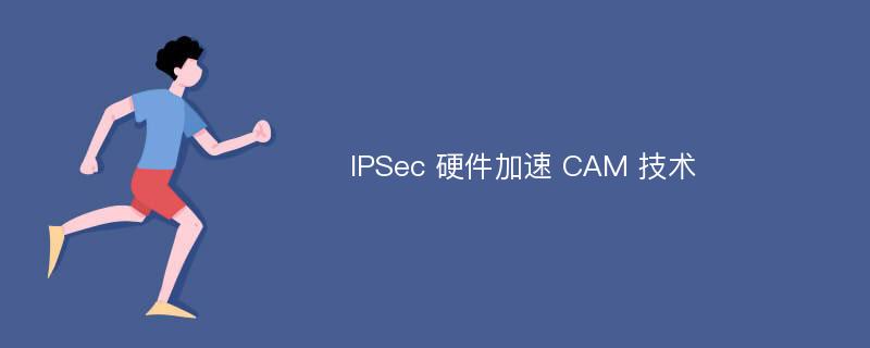 IPSec 硬件加速 CAM 技术